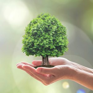Ser Eco-Friendly Es Mucho Más Que Una Tendencia